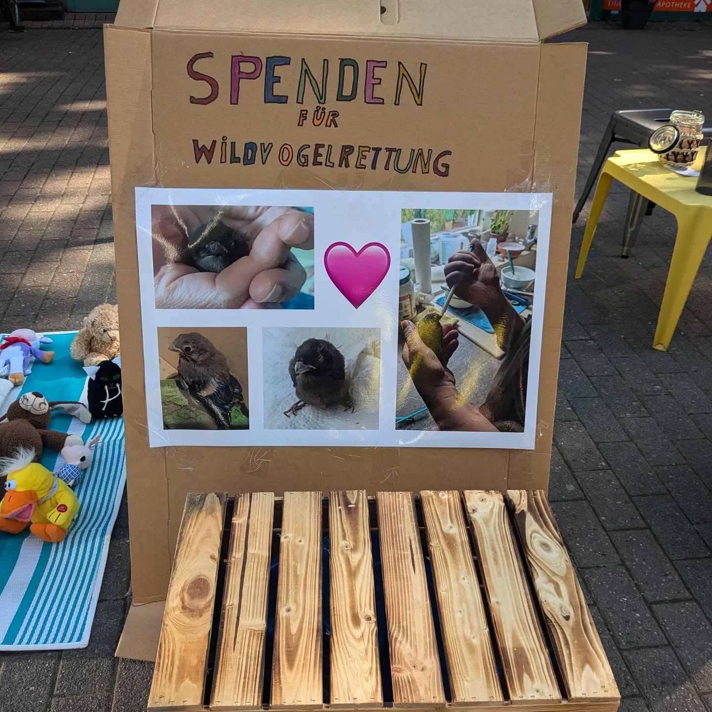 Wildvogelrettung (August 2024)